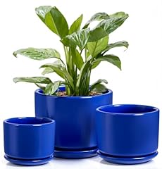 Efispss plant pots for sale  Delivered anywhere in USA 