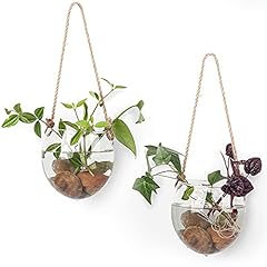 Pack terrariums container for sale  Delivered anywhere in USA 