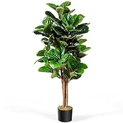 Costway ficus lyrata usato  Spedito ovunque in Italia 