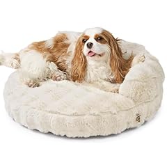 Eheyciga small dog for sale  Delivered anywhere in USA 