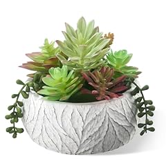 Artificial succulent plants for sale  Delivered anywhere in USA 