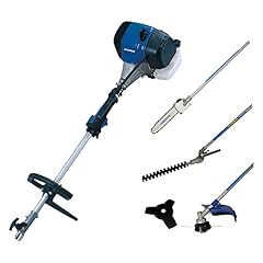 Decespugliatore 4in1 42 usato  Spedito ovunque in Italia 