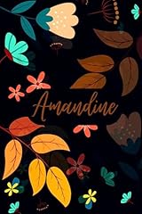 Amandine carnet notes d'occasion  Livré partout en France