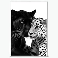 Fashion black white for sale  Delivered anywhere in USA 