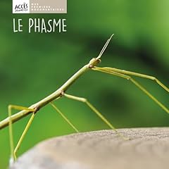 Phasme d'occasion  Livré partout en Belgiqu