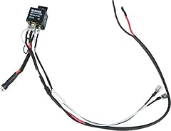 Evike angel custom for sale  Delivered anywhere in USA 