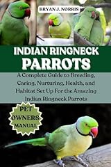 Indian ringneck parrot for sale  Delivered anywhere in UK
