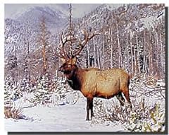 Wildlife mountain animal for sale  Delivered anywhere in USA 