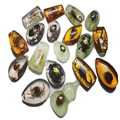 Pcs insect amber for sale  Delivered anywhere in UK