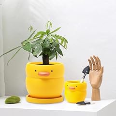 Cndse little yellow for sale  Delivered anywhere in USA 