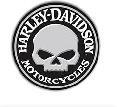 Hicsticayt schädel motorrad gebraucht kaufen  Wird an jeden Ort in Deutschland