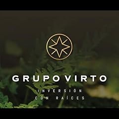Grupo virto gebraucht kaufen  Wird an jeden Ort in Deutschland