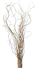 Natural curly willow for sale  Delivered anywhere in USA 