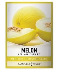 Yellow canary melon for sale  Delivered anywhere in USA 