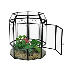 Ferrisland glass terrarium for sale  Delivered anywhere in USA 