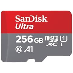 Sandisk 256gb ultra usato  Spedito ovunque in Italia 