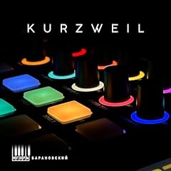 Kurzweil gebraucht kaufen  Wird an jeden Ort in Deutschland