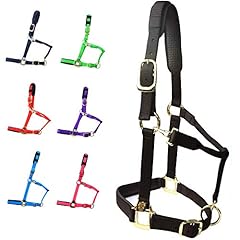 Teke adjustable horse for sale  Delivered anywhere in USA 