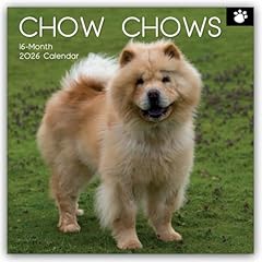 Chow chows 2026 gebraucht kaufen  Wird an jeden Ort in Deutschland