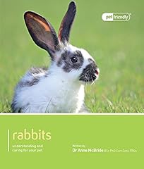 Rabbits pet friendly for sale  Delivered anywhere in UK