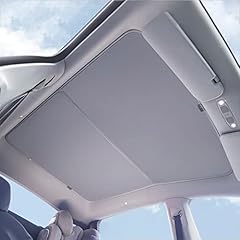 Vion tesla model d'occasion  Livré partout en France