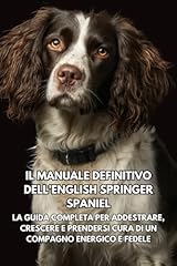 Manuale definitivo dell usato  Spedito ovunque in Italia 