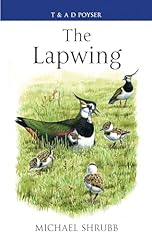 Lapwing for sale  Delivered anywhere in UK