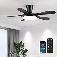 Ceiling fan light for sale  Delivered anywhere in USA 