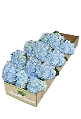 Pick date blue for sale  Delivered anywhere in USA 