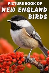 Picture book new for sale  Delivered anywhere in USA 