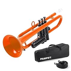 Pampet professional plastic for sale  Delivered anywhere in USA 