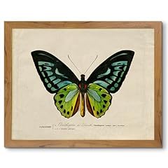 Feigee8la vintage butterfly for sale  Delivered anywhere in USA 
