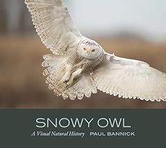 Snowy owl visual for sale  Delivered anywhere in USA 