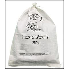 Livefoods4u live morio for sale  Delivered anywhere in UK