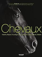 Chevaux équitation d'occasion  Livré partout en France