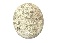 Fossil korallen cabochon gebraucht kaufen  Wird an jeden Ort in Deutschland