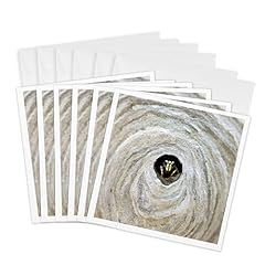 3drose greeting cards for sale  Delivered anywhere in USA 