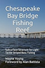 Chesapeake bay bridge for sale  Delivered anywhere in USA 