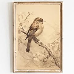 Pwtxkah vintage bird for sale  Delivered anywhere in USA 