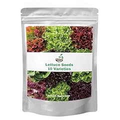 000 lettuce seeds for sale  Delivered anywhere in USA 