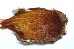 Pechetruite cou coq d'occasion  Livré partout en France