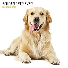 Golden retriever calendrier d'occasion  Livré partout en France
