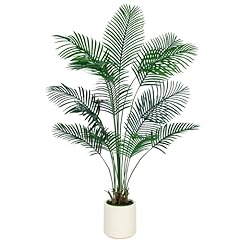 Vivatrees areca palm for sale  Delivered anywhere in USA 