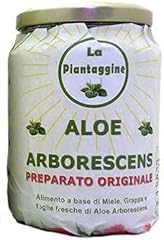 Aloe arborescens come usato  Spedito ovunque in Italia 