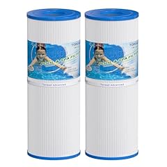 Toread spa filter gebraucht kaufen  Wird an jeden Ort in Deutschland