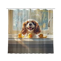 Ngz funny cavalier for sale  Delivered anywhere in USA 