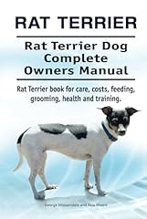 Rat terrier. rat for sale  Delivered anywhere in UK