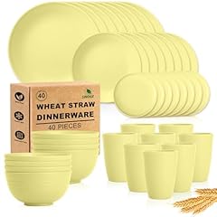 Sinoge 40pcs plates for sale  Delivered anywhere in USA 