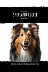 Shetland collie alles for sale  Delivered anywhere in UK
