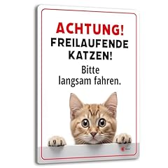 Achtung freilaufende katzen gebraucht kaufen  Wird an jeden Ort in Deutschland
